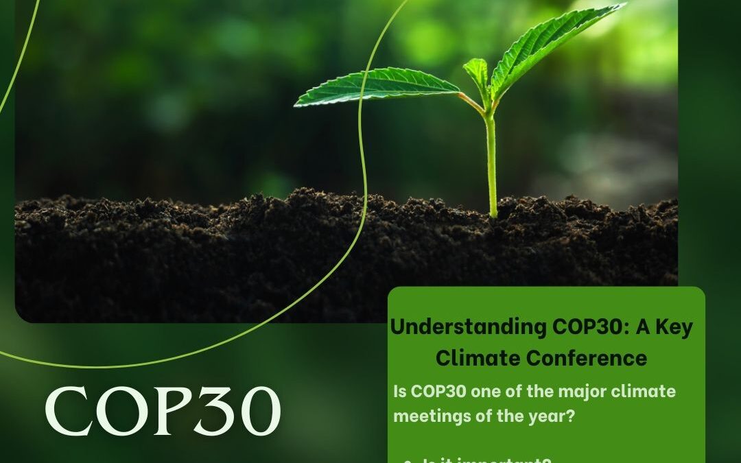 COP30 – Why It Matters