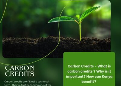 #carboncredits – What, Why & How Kenya Can Benefit.