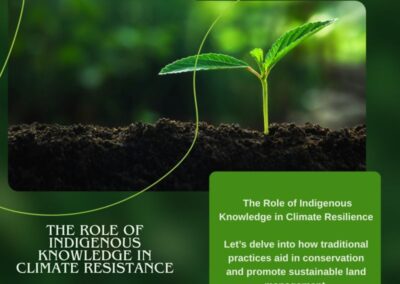 The Role of Indigenous Knowledge in Climate Resilience