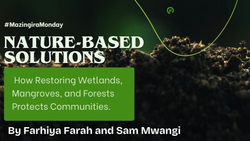 Nature-Based Solutions — How Restoring Wetlands, Mangroves, and Forests Protects Communities
