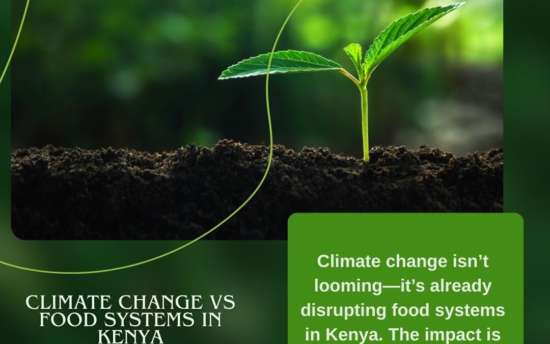 Climate Change Vs Food Systems In Kenya