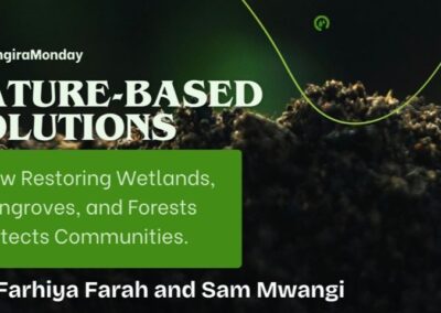 Nature-Based Solutions — How Restoring Wetlands, Mangroves, and Forests Protects Communities