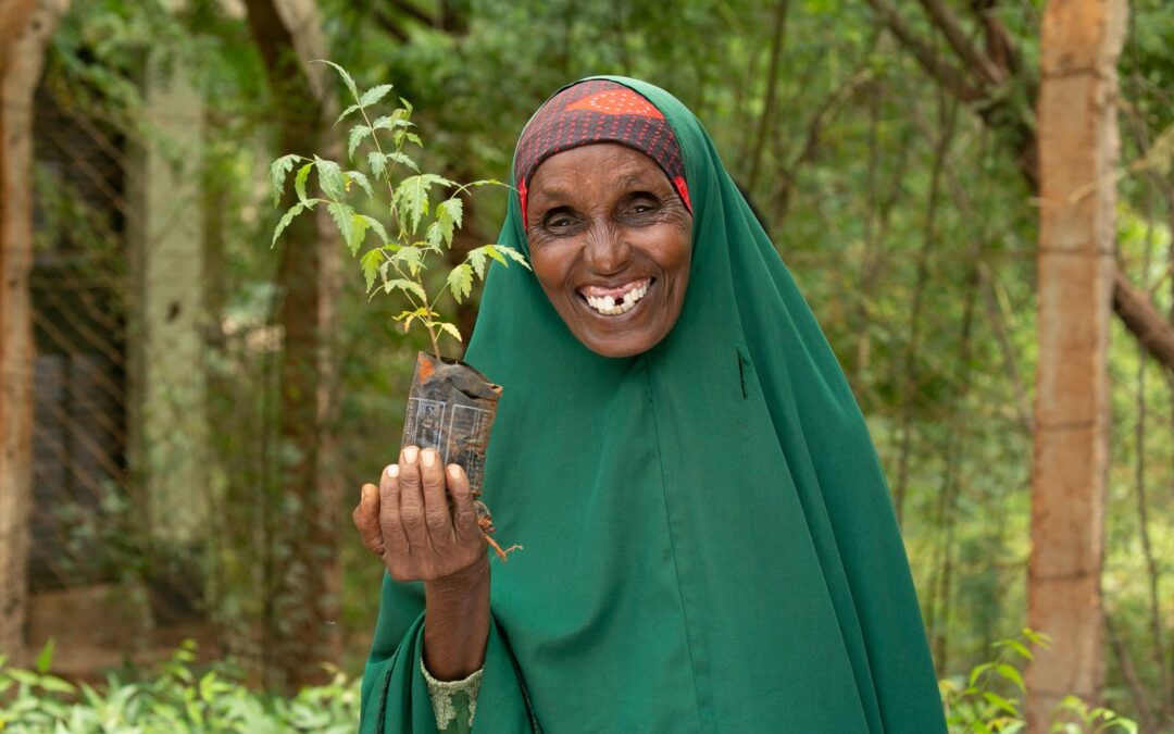 Documenting Impact: How Mandera’s Greening Journey was told and celebrated